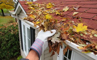 5 Recommended Fall Season Tips