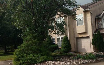 Landscape Clean Up and Tree Pruning in Atco, NJ