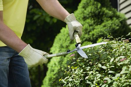 11 Essential Home Maintenance Tasks to Tackle Before Spring